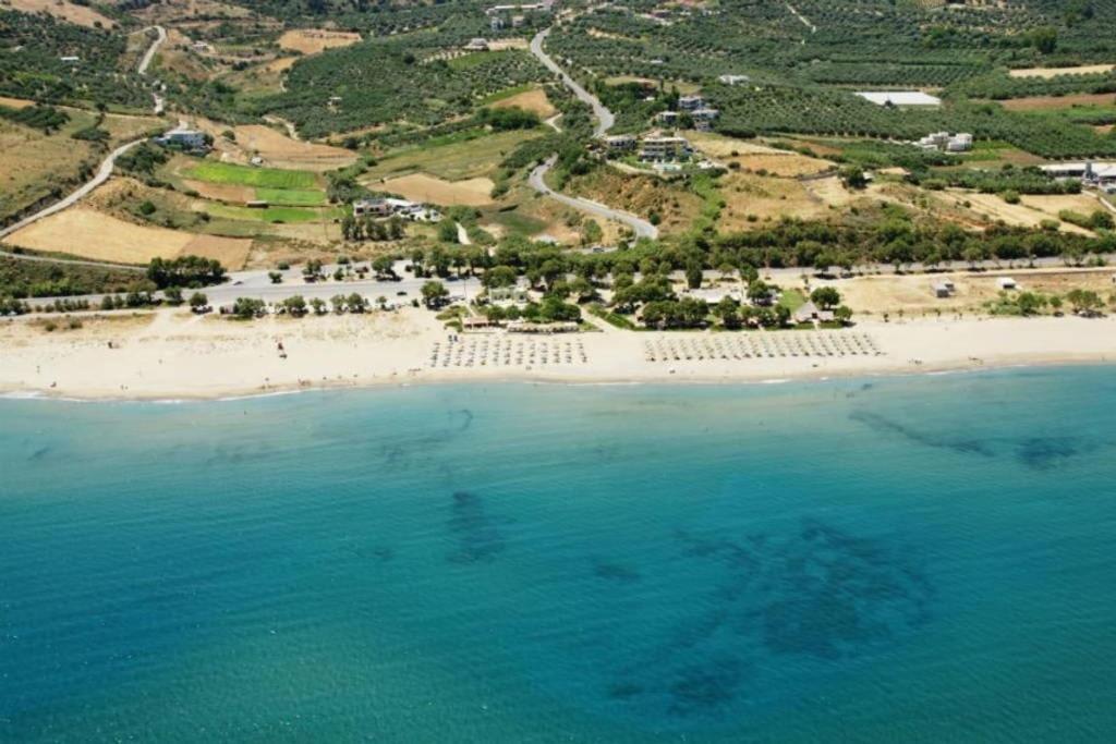 Olive Tree Farm 200M From The Beach Episkopi-Chania Extérieur photo