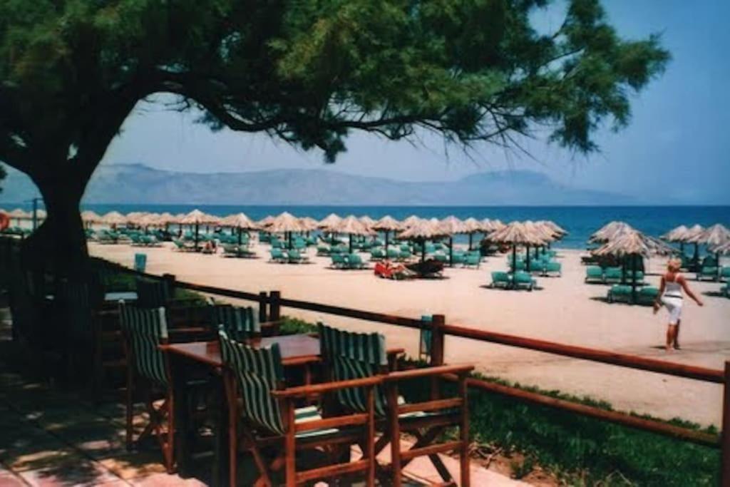 Olive Tree Farm 200M From The Beach Episkopi-Chania Extérieur photo