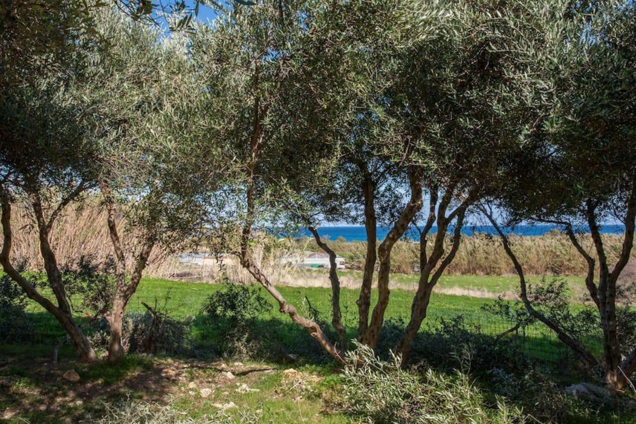 Olive Tree Farm 200M From The Beach Episkopi-Chania Extérieur photo