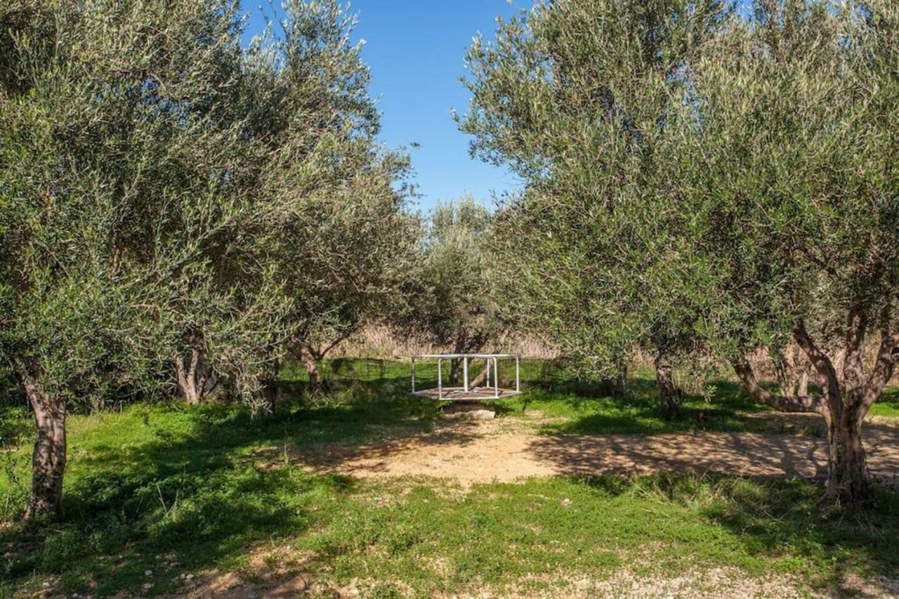 Olive Tree Farm 200M From The Beach Episkopi-Chania Extérieur photo