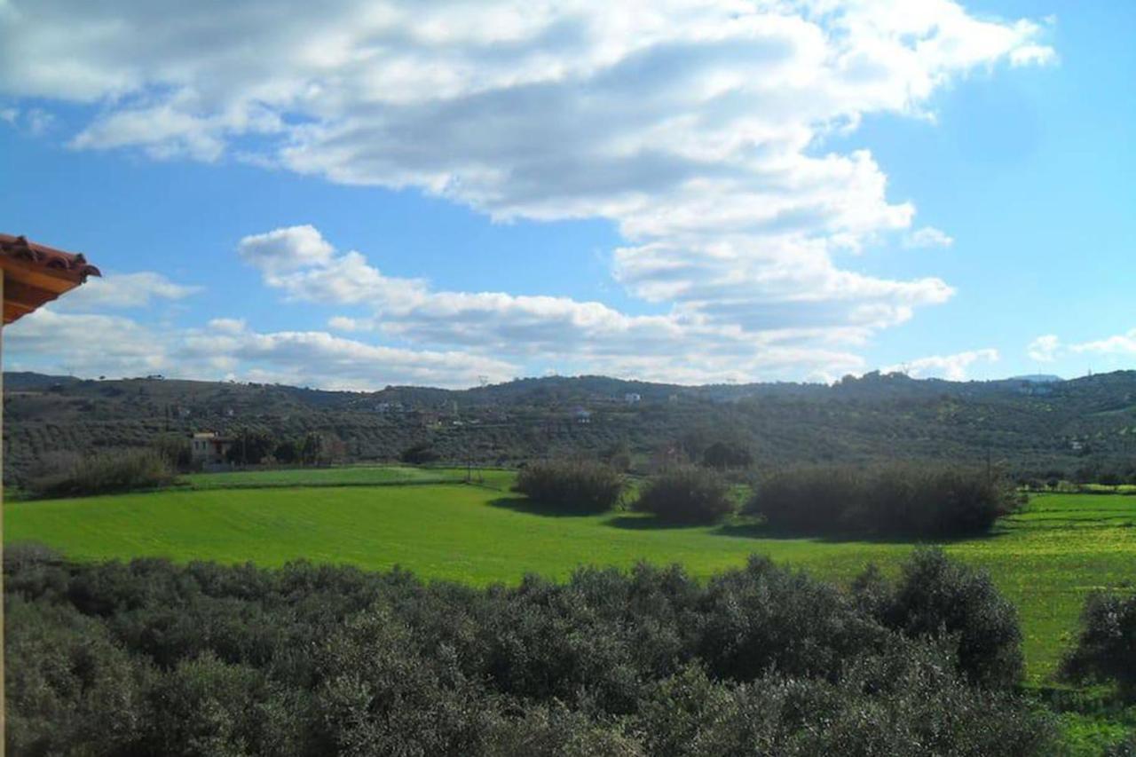 Olive Tree Farm 200M From The Beach Episkopi-Chania Extérieur photo