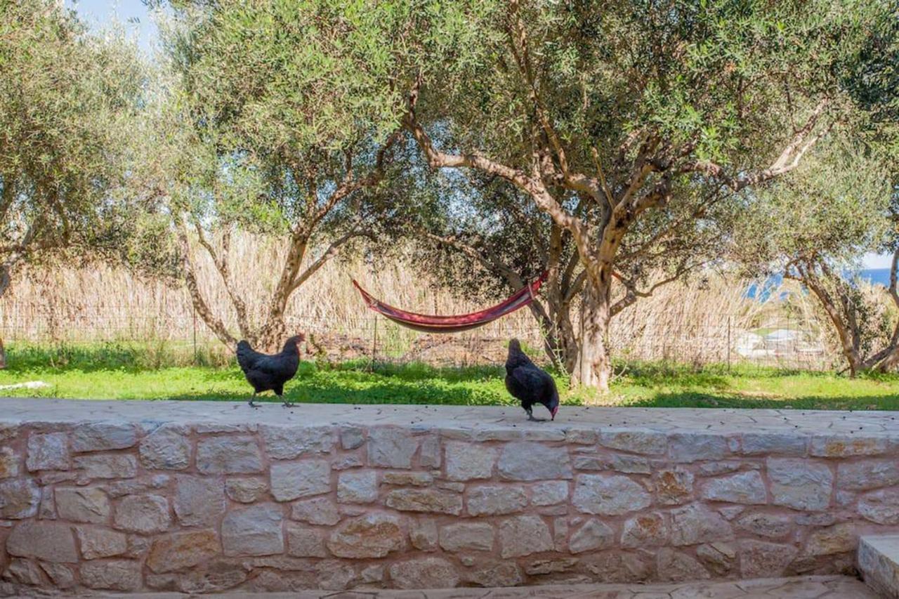 Olive Tree Farm 200M From The Beach Episkopi-Chania Extérieur photo